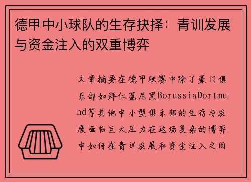 德甲中小球队的生存抉择：青训发展与资金注入的双重博弈